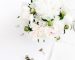 flowers-blog-img-4-opt